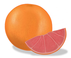 грейпфрут